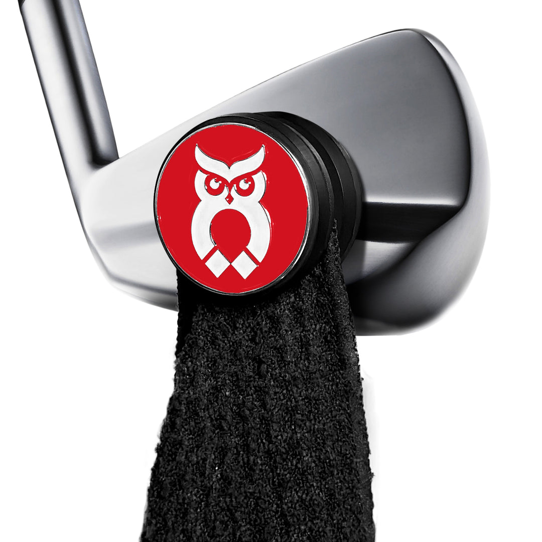 MagnetOwl Magnetic Clip - 2 Sided